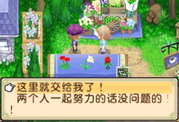 牧場物語雙子村手機版6