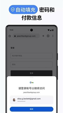 谷歌國際版（Chrome）