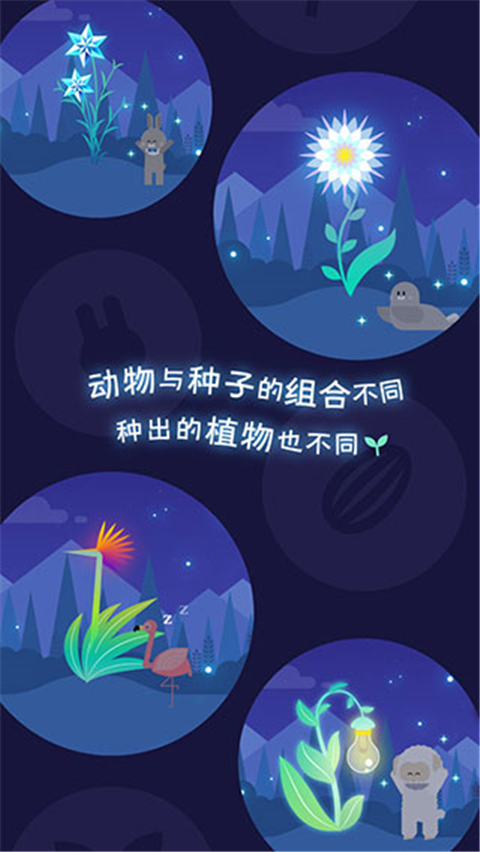 夜之森游戲中文版