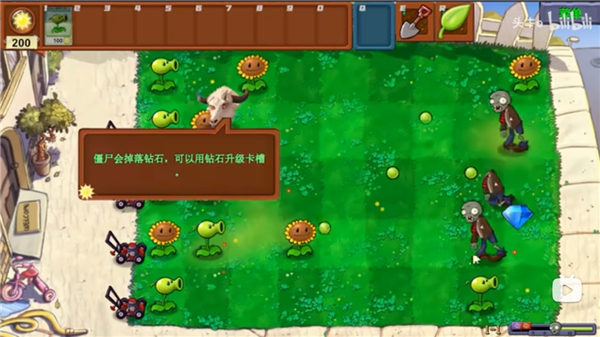 植物大戰(zhàn)僵尸新指導(dǎo)版