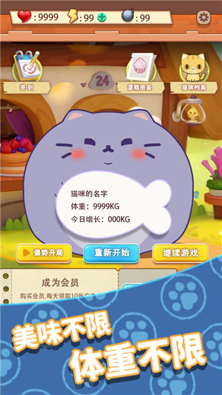 養只大肥貓手游