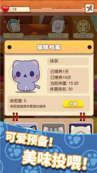 養只大肥貓手游