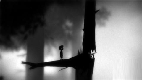 地獄邊境2完整版（LIMBO） 第7張圖