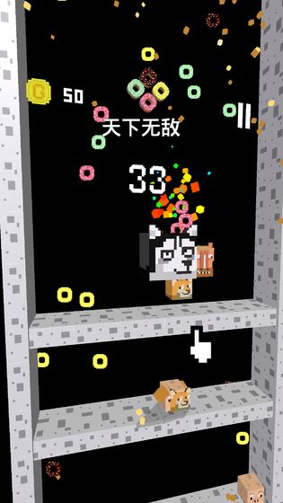 二哈下樓記