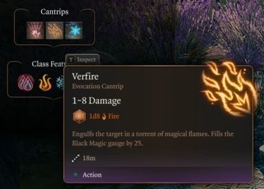 博德之門3赤魔法師模組