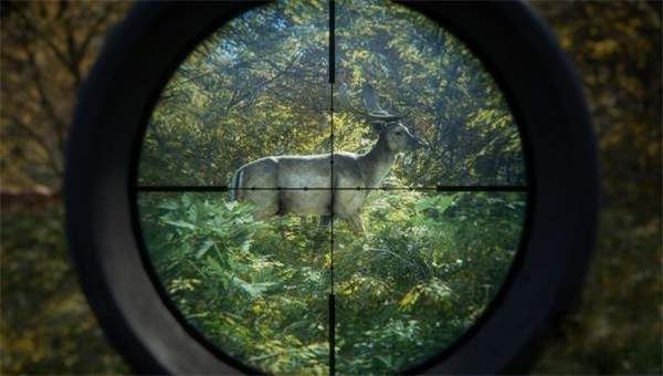 獵人荒野的召喚5倍資源模組