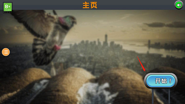 鴿子模擬器